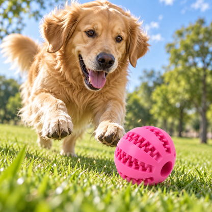 Pelota Dental