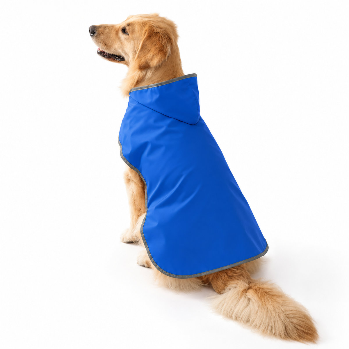 RainShell Duo